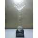 Partnership Glass Trophy Award